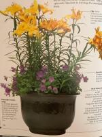 Tr&auml;dg&aring;rd i krukor