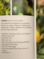 Perenner f&ouml;r alla tr&auml;dg&aring;rdar