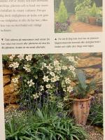 Sm&aring; tr&auml;dg&aring;rdar