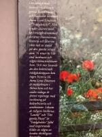 Tr&auml;dg&aring;rdsliv : en bok om tr&auml;dg&aring;rdslust & uterum