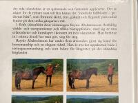 Rida islandsh&auml;st