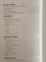 Rida islandsh&auml;st