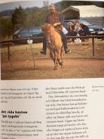 Rida islandsh&auml;st