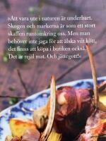 Mannerstr&ouml;ms viltkokbok