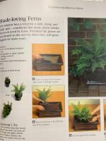 Boxes, Baskets, Pots & Planters: A Practical Guide to 100 Inspirational Containers 