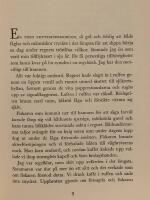 V&auml;ttern : Leva vid V&auml;ttern