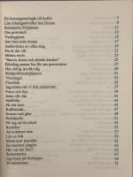 Funderingar fr&aring;n mitt f&ouml;nster