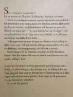 De sju timmarna i paradiset : roman