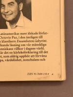 Ensamhetens labyrint