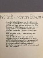 S&ouml;karna : nio ber&auml;ttelser