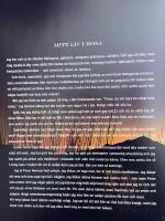 Pink!  : den rosa kokboken