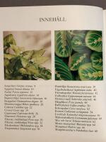 Gr&ouml;na, sk&ouml;na i kruka och korg