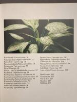 Gr&ouml;na, sk&ouml;na i kruka och korg