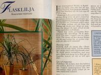 Gr&ouml;na, sk&ouml;na i kruka och korg