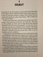 Raskrigaren : seriem&ouml;rdaren Peter Mangs