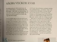 Gravid : kroppen, k&auml;nslorna, f&ouml;rlossningen, barnet