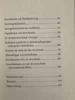 Filosofiska klarl&auml;gganden i en grumlig tid