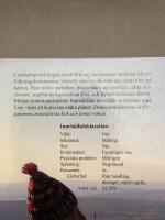 En stj&auml;rna i skogen