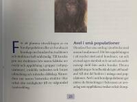 Avelsboken : om strukturer och m&ouml;jligheter i hundaveln