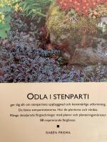 Odla i stenparti : v&auml;xter och vatten