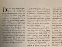 Odla i stenparti : v&auml;xter och vatten