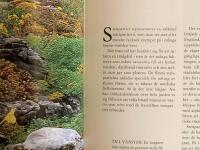 Odla i stenparti : v&auml;xter och vatten