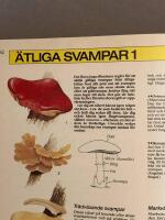 &Ouml;verlevnadshandboken