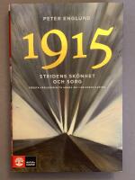Stridens sk&ouml;nhet och sorg 1915 : f&ouml;rsta v&auml;rldskrigets andra &aring;r i 108 korta kapitel