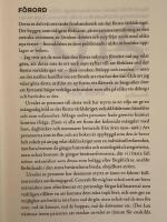 Stridens sk&ouml;nhet och sorg 1915 : f&ouml;rsta v&auml;rldskrigets andra &aring;r i 108 korta kapitel