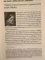 Stridens sk&ouml;nhet och sorg 1915 : f&ouml;rsta v&auml;rldskrigets andra &aring;r i 108 korta kapitel