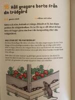 50 s&auml;tt att &ouml;verlista en snigel och andra tr&auml;dg&aring;rdsmarod&ouml;rer