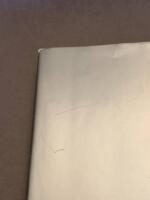 N&auml;sta som r&ouml;r mig : roman