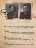 Tyskar och allierade i Sverige