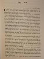 Tyskar och allierade i Sverige