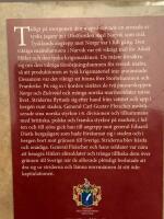 Kampen om Narvik 1940 : [tyska alpj&auml;gare, franska fr&auml;mlingslegionen och den svenska j&auml;rnmalmen]