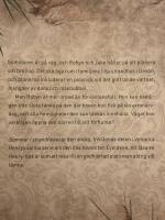 Sommar i strandhuset