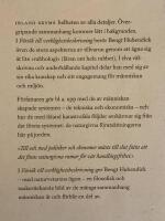 F&ouml;rs&ouml;k till verklighetsbeskrivning : mest om samspelet m&auml;nniska-omgivning