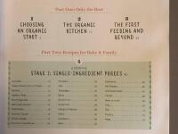  The Big Book of Organic Baby Food