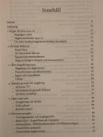 Skagerackslaget 1916 : titanernas kamp