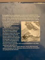 D&ouml;dlig resa : [svenska handelsflottans f&ouml;rluster 1939-1945]