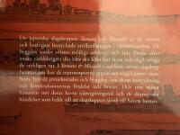 Yamato & Musashi : v&auml;rldens st&ouml;rsta slagskepp