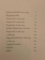 Luftwaffe &ouml;ver Sicilien : en bef&auml;lhavares dagbok