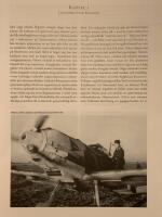 Luftstrid &ouml;ver kanalen : till minnet av Elvira, 1900-1994: du s&aring;g allt detta