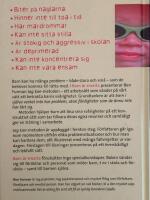 Barn &auml;r smarta : jag kan-metoden f&ouml;r kreativ probleml&ouml;sning