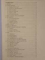 Arbeta i projekt : individen, gruppen, ledaren