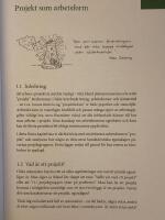 Arbeta i projekt : individen, gruppen, ledaren