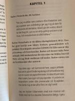 J&auml;klar anamma : sanna ber&auml;ttelser om drivkraft och uth&aring;llighet