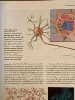 Cognitive neuroscience - the biology of the mind