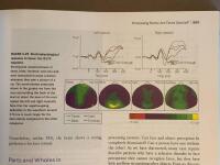 Cognitive neuroscience - the biology of the mind