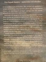 Den kupade handen : historien om m&auml;nniskan och tekniken